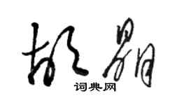 駱恆光胡晶草書個性簽名怎么寫