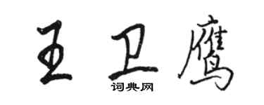駱恆光王衛鷹行書個性簽名怎么寫