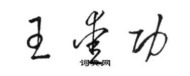 駱恆光王愛功草書個性簽名怎么寫