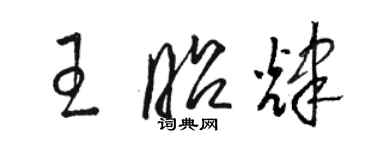 駱恆光王昭輝草書個性簽名怎么寫