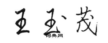 駱恆光王玉茂行書個性簽名怎么寫