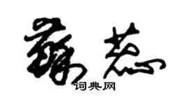 朱錫榮蘇蕊草書個性簽名怎么寫