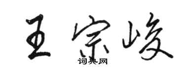 駱恆光王宗峻行書個性簽名怎么寫