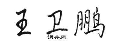 駱恆光王衛鵬行書個性簽名怎么寫
