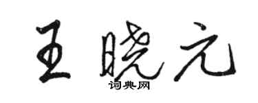 駱恆光王曉元行書個性簽名怎么寫