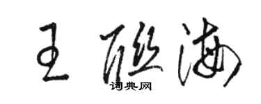駱恆光王聯海草書個性簽名怎么寫