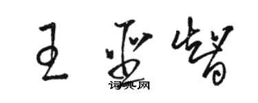 駱恆光王聖智草書個性簽名怎么寫