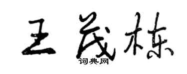 曾慶福王茂棟行書個性簽名怎么寫
