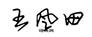 朱錫榮王風田草書個性簽名怎么寫