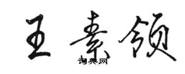 駱恆光王素領行書個性簽名怎么寫