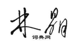 駱恆光林晶草書個性簽名怎么寫