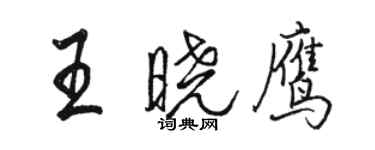 駱恆光王曉鷹行書個性簽名怎么寫