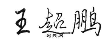 駱恆光王超鵬行書個性簽名怎么寫