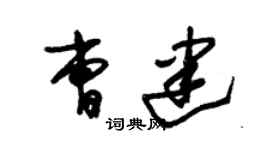 朱錫榮曹建草書個性簽名怎么寫