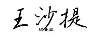 王正良王沙提行書個性簽名怎么寫