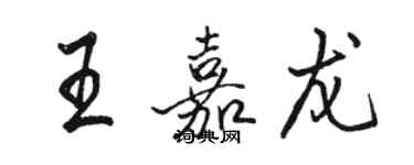 駱恆光王嘉龍行書個性簽名怎么寫