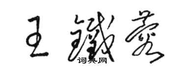 駱恆光王鐵蓉草書個性簽名怎么寫