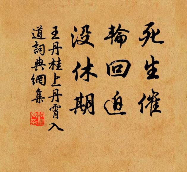 辟寒金翦碎，漉蟻浮香，恰近重陽好天氣 詩詞名句