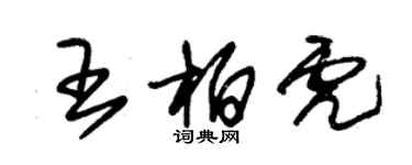 朱錫榮王柏虎草書個性簽名怎么寫