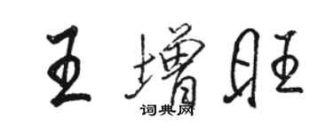 駱恆光王增旺行書個性簽名怎么寫