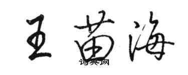 駱恆光王苗海行書個性簽名怎么寫