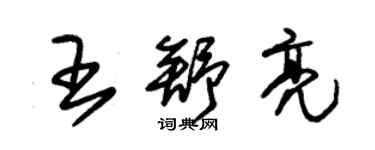 朱錫榮王舒亮草書個性簽名怎么寫