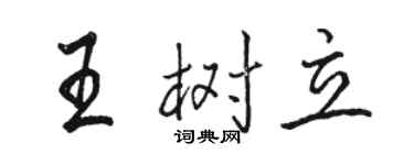 駱恆光王樹立行書個性簽名怎么寫