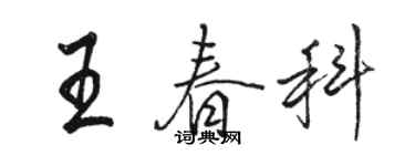 駱恆光王春科行書個性簽名怎么寫