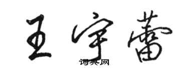 駱恆光王宇蕾行書個性簽名怎么寫