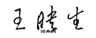 駱恆光王映生草書個性簽名怎么寫