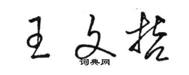 駱恆光王文哲草書個性簽名怎么寫