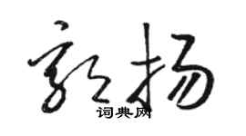 駱恆光郭揚草書個性簽名怎么寫