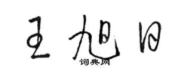 駱恆光王旭日草書個性簽名怎么寫