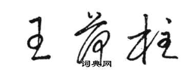 駱恆光王荷柱草書個性簽名怎么寫