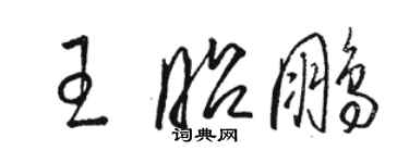 駱恆光王昭鵬草書個性簽名怎么寫