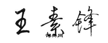 駱恆光王素鋒行書個性簽名怎么寫