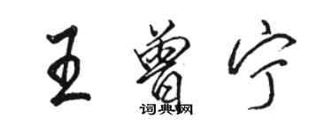 駱恆光王曾寧行書個性簽名怎么寫