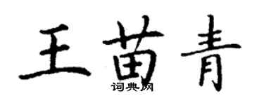 丁謙王苗青楷書個性簽名怎么寫