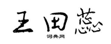 曾慶福王田蕊行書個性簽名怎么寫