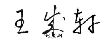 駱恆光王成軒草書個性簽名怎么寫