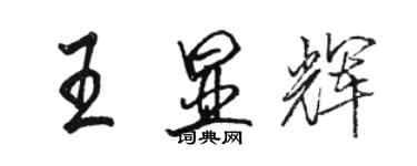 駱恆光王顯輝行書個性簽名怎么寫