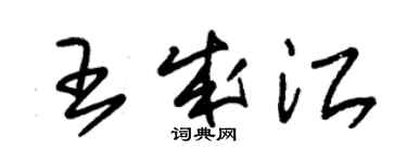 朱錫榮王成江草書個性簽名怎么寫