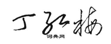 駱恆光丁紅梅草書個性簽名怎么寫