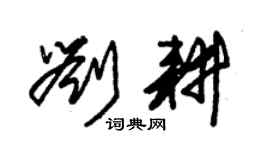朱錫榮劉耕草書個性簽名怎么寫