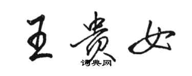 駱恆光王貴女行書個性簽名怎么寫