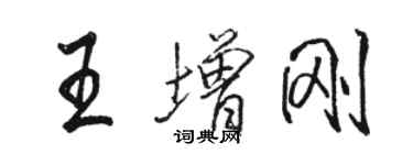 駱恆光王增剛行書個性簽名怎么寫