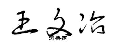 曾慶福王文冶草書個性簽名怎么寫