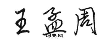 駱恆光王孟周行書個性簽名怎么寫