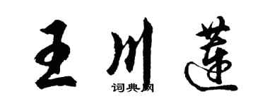 胡問遂王川蓮行書個性簽名怎么寫