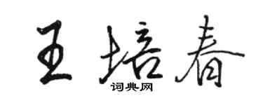 駱恆光王培春行書個性簽名怎么寫